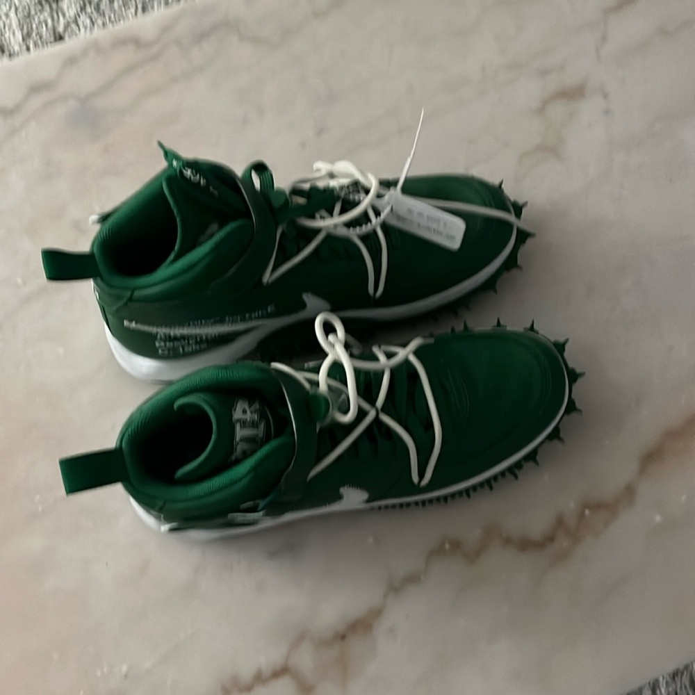 Off white Jordan 1 cactus green size 12